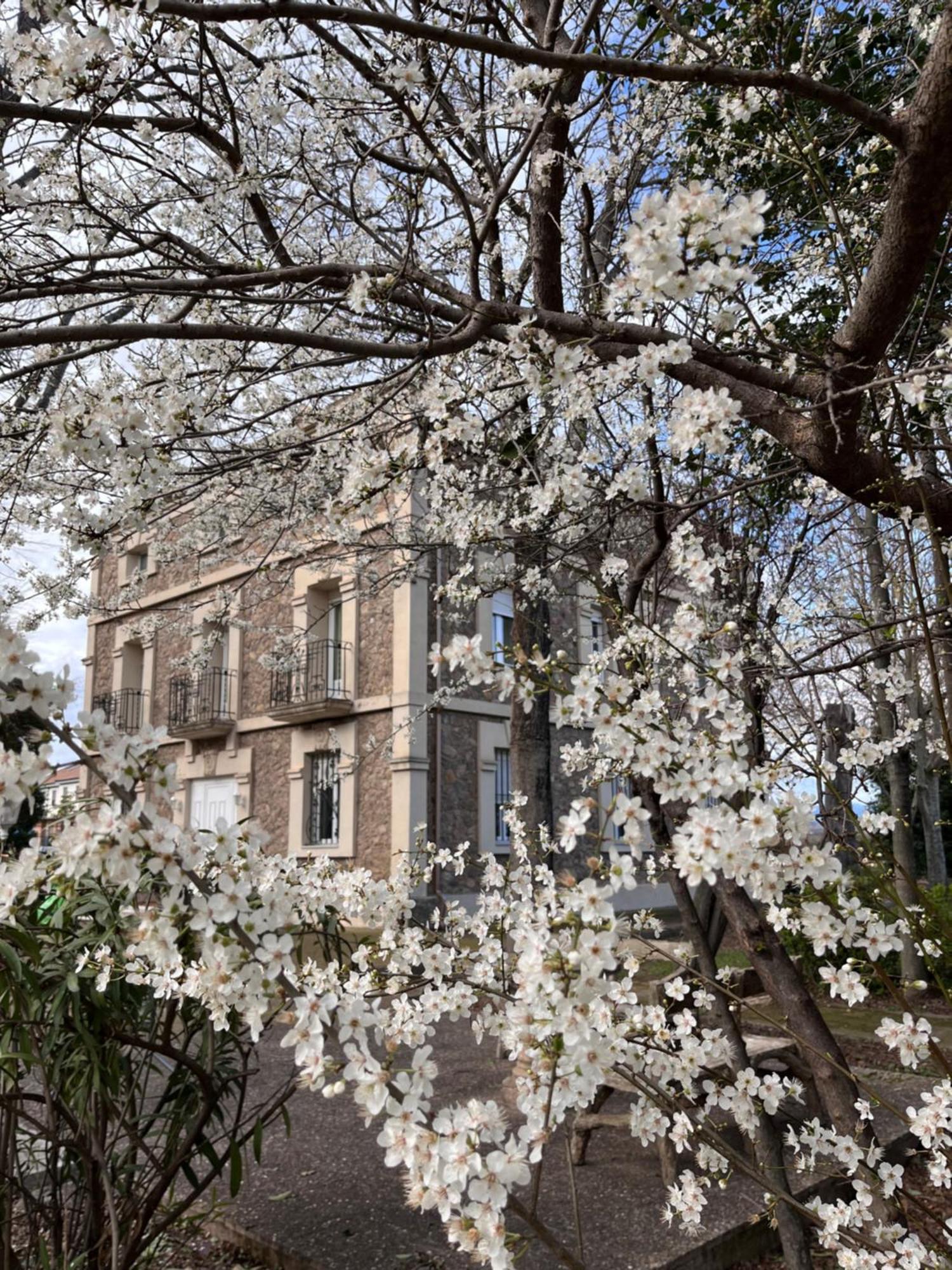 Villa Merenciana Agoncillo ภายนอก รูปภาพ