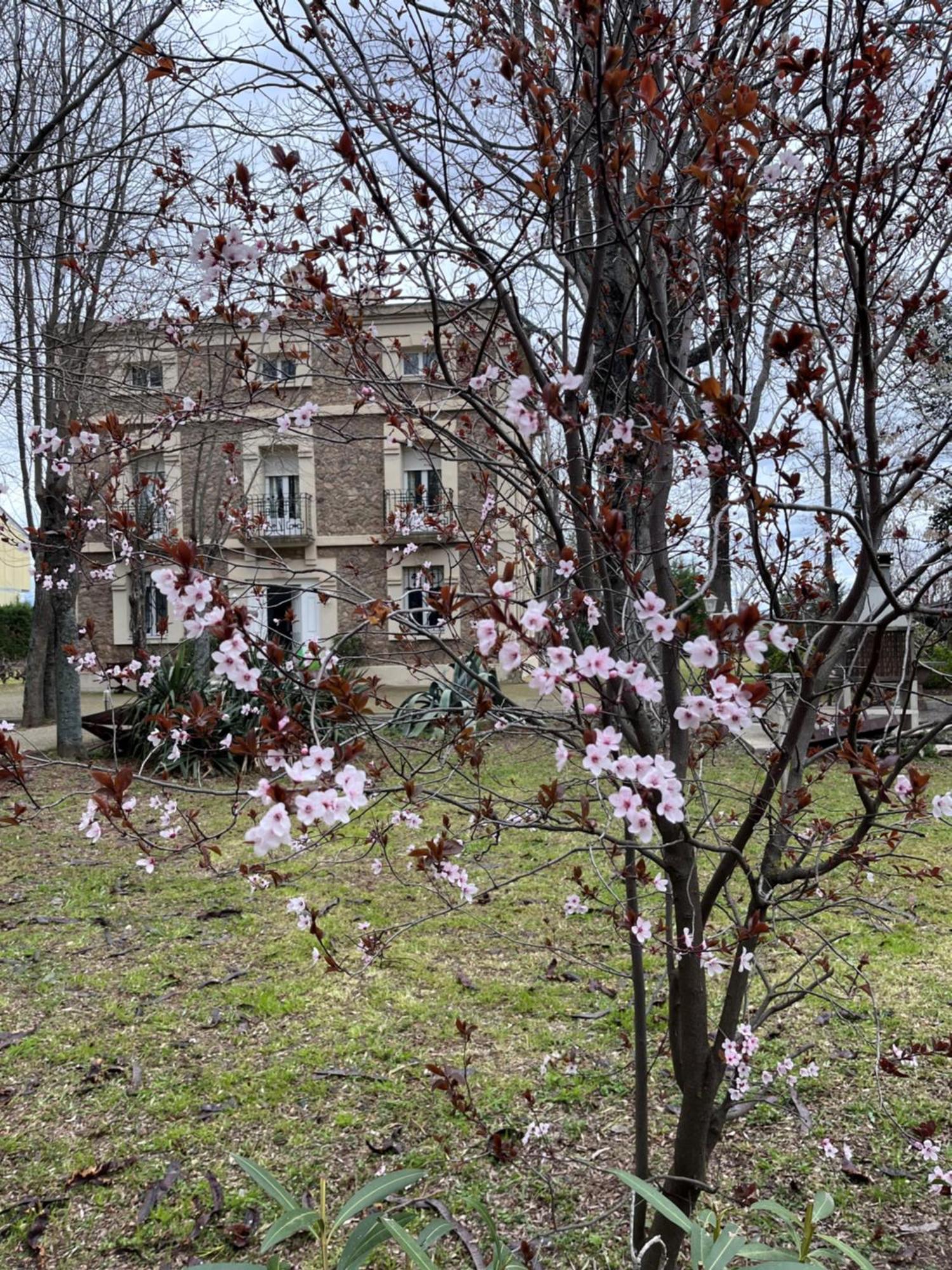 Villa Merenciana Agoncillo ภายนอก รูปภาพ