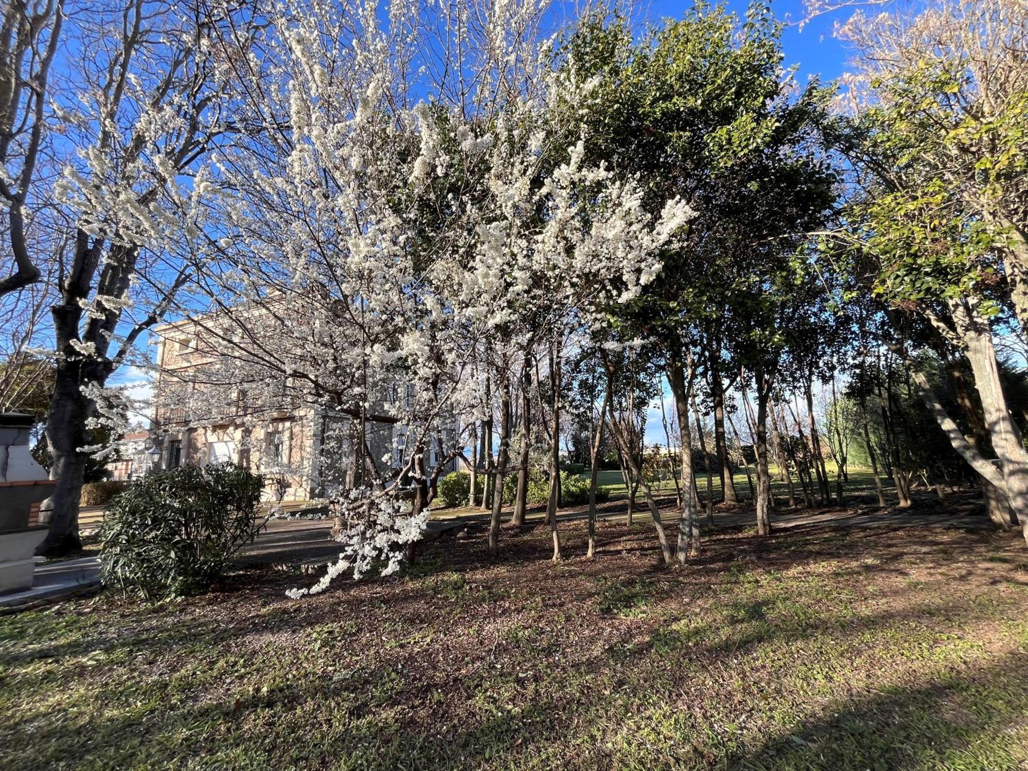 Villa Merenciana Agoncillo ภายนอก รูปภาพ